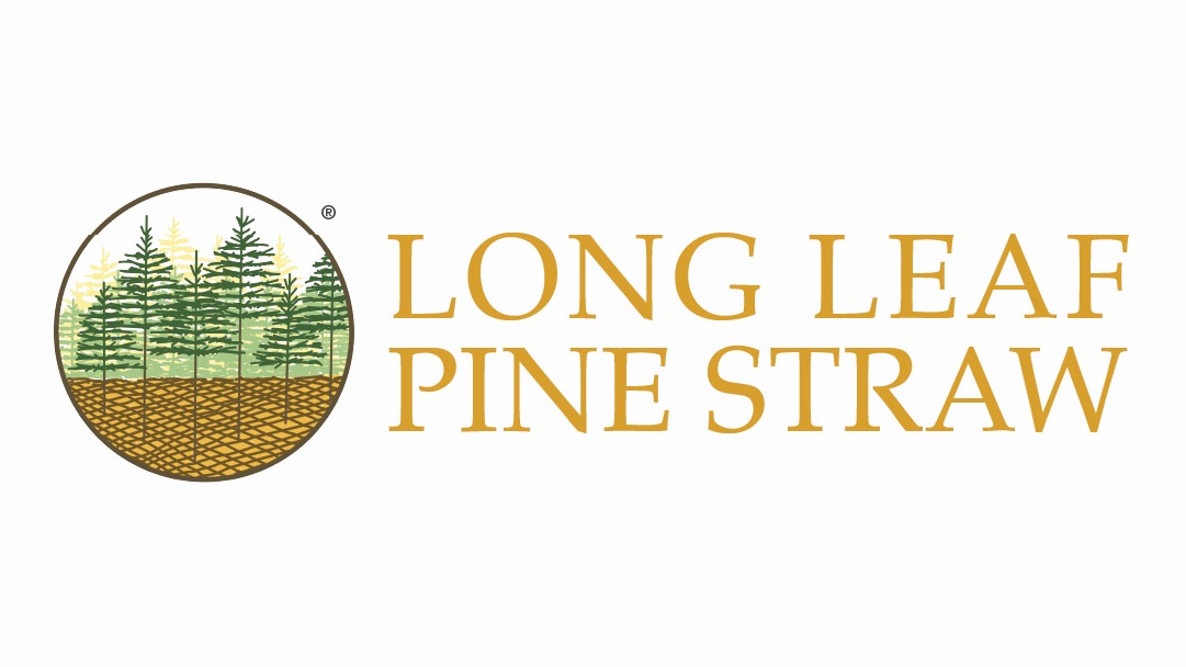 TheADAgency_DC's tweet photo. Design and production of new logo for our client Long Leaf Pine Straw.

Visit https://t.co/1Bqw5h5UcS to see the full post and other recent news!

#logodesigns #theadagency #identitydesign #logo #graphicdesign https://t.co/v6CNNhNdG6