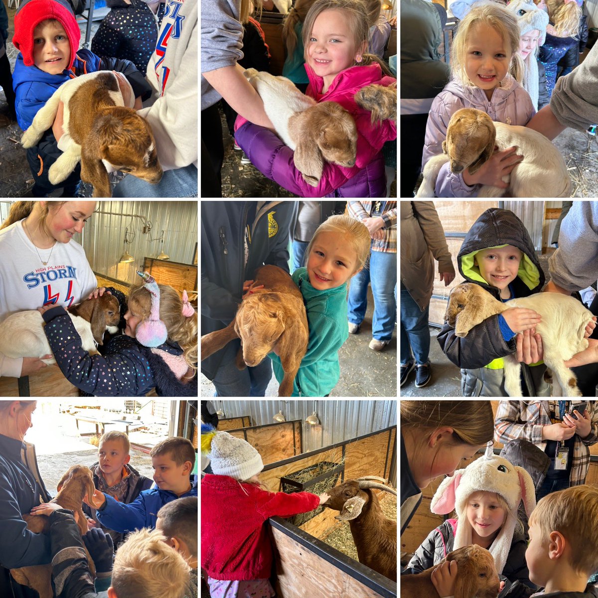 Kindergarteners had such a fun afternoon <a href="/HPCSTORM/">HPC STORM</a> animal lab!  Celebrating #FFAWeek with Elementary Ag Day!