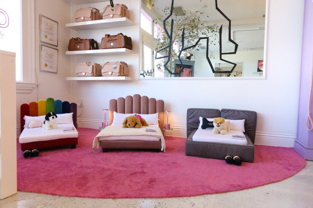 Vanderpump Dogs tweet media