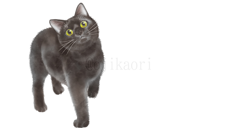 😺😸😽 #猫の日2023 