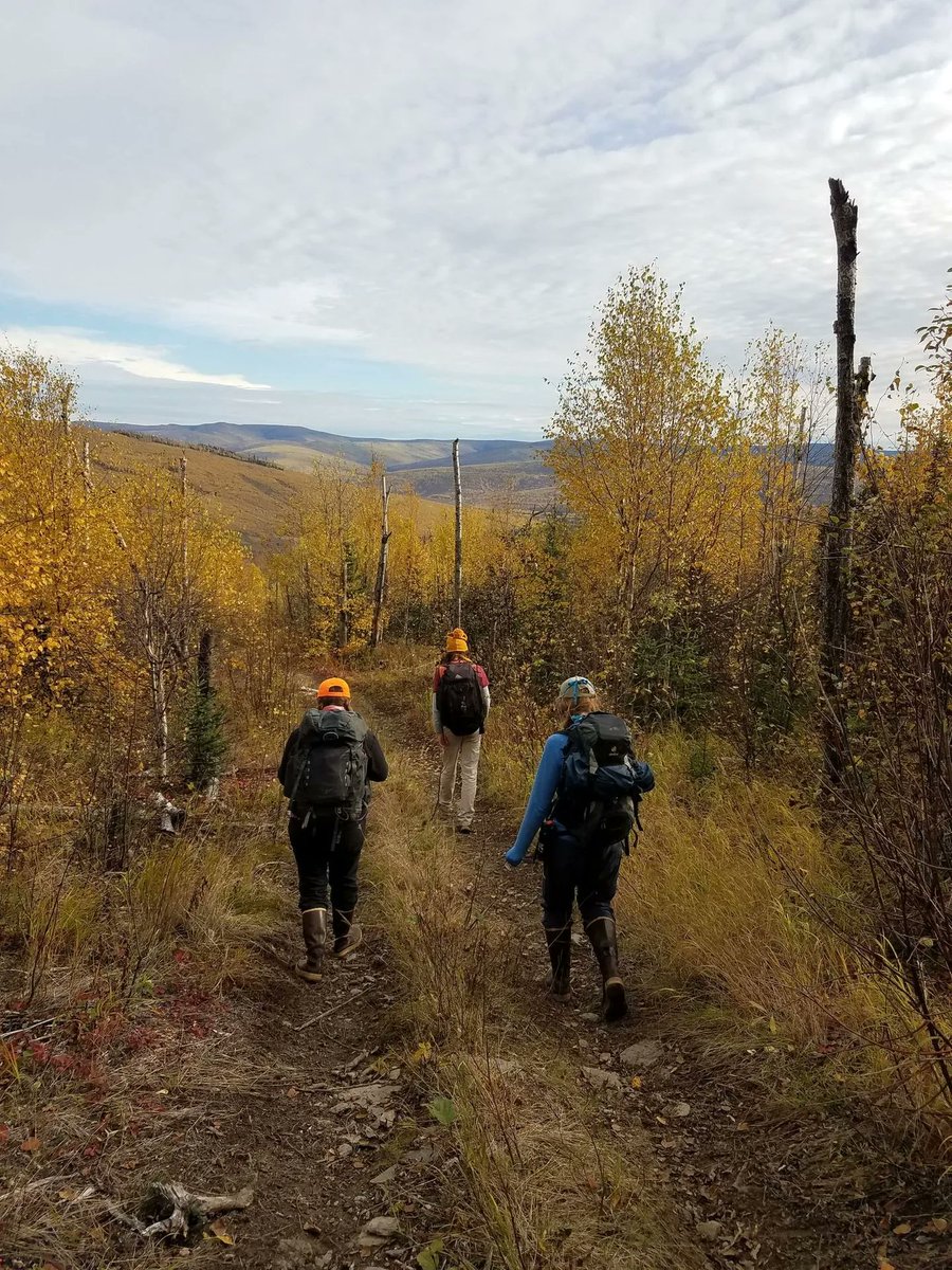 Gain field ecology experience in Alaska! NEON is hiring seasonal field technicians in our most northern Domains. These positions will collect data and samples from some of NEON's most spectacular sites. 
AK Lead: buff.ly/3HhJDtf 
AK TFT openings: buff.ly/3Yc5toL