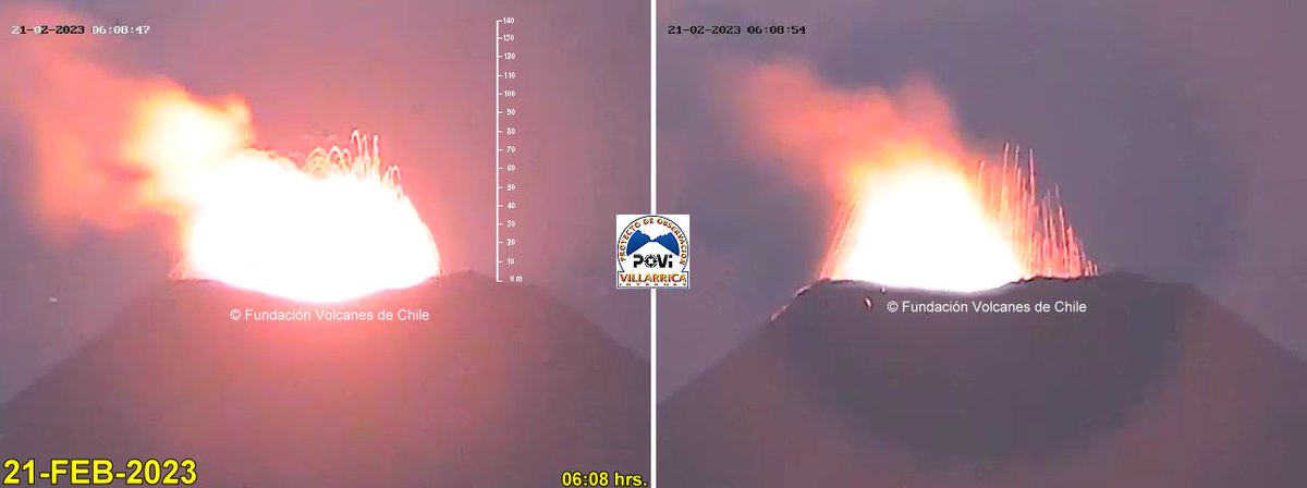 P.O.V.I. tweet media