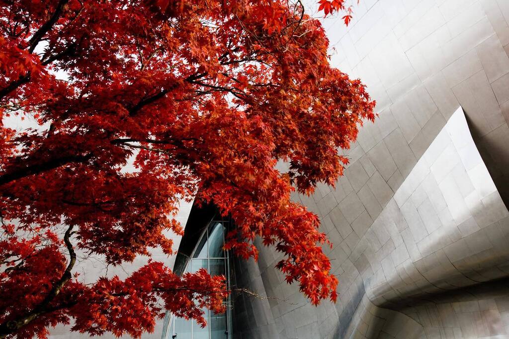 Personal work of the Museum of Pop Culture in Seattle, WA. Architect @frankgehry_official 

#abstractart #architecture #architecturephotography #museum #lbphoto instagr.am/p/Co8OCdCvuub/