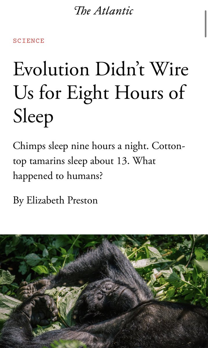 Contrary to the popular belief? 

This article features @Primalprimate’s scientific discovery on the evolution of human sleep and his social-sleep hypothesis!

theatlantic.com/science/archiv…

#primatesleep #sleepresearch