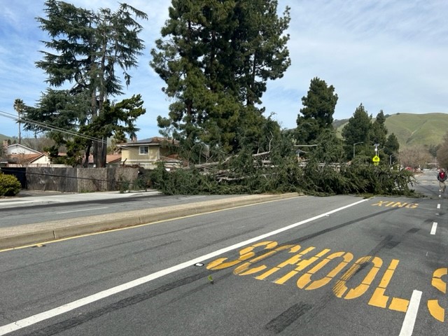 FremontPD's tweet photo. Power Outage and Road Closures in the Area of Walnut Ave and Guardino Dr.  https://t.co/pDla1Rcny8 https://t.co/zm37SL9Mgi