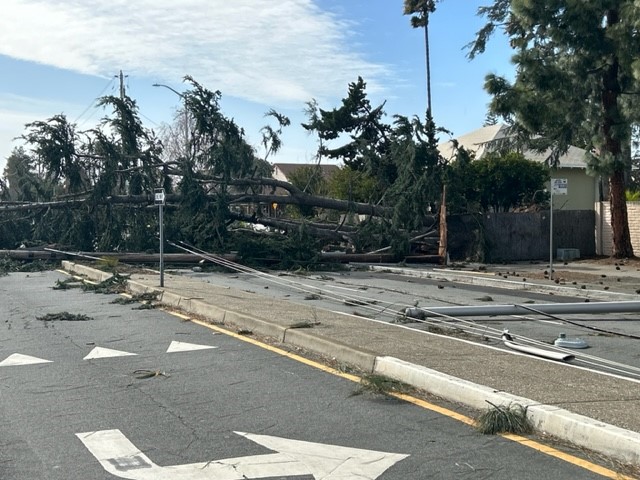 FremontPD's tweet photo. Power Outage and Road Closures in the Area of Walnut Ave and Guardino Dr.  https://t.co/pDla1Rcny8 https://t.co/zm37SL9Mgi