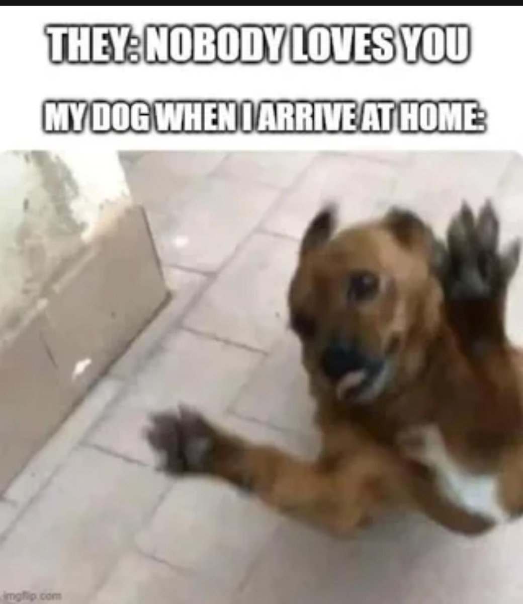WholesomeMeme's tweet photo. https://t.co/IQIF2x1n5x