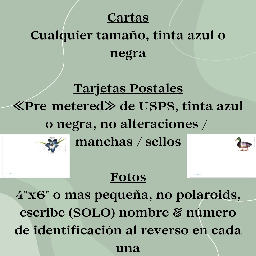 Atlanta Jail Support tweet media