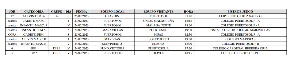 Balonmano Puertosol tweet media