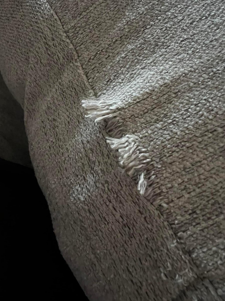 Tera Arnold tweet media