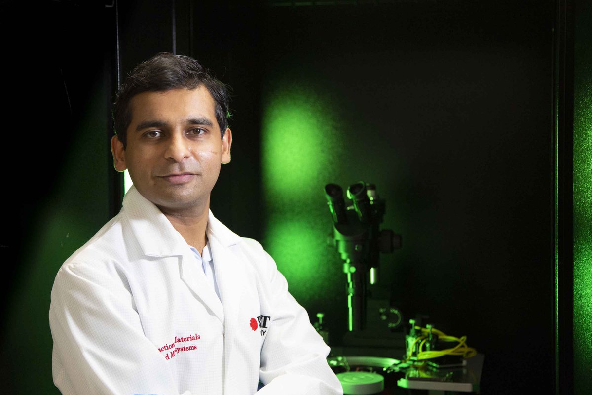 RMIT Research tweet media