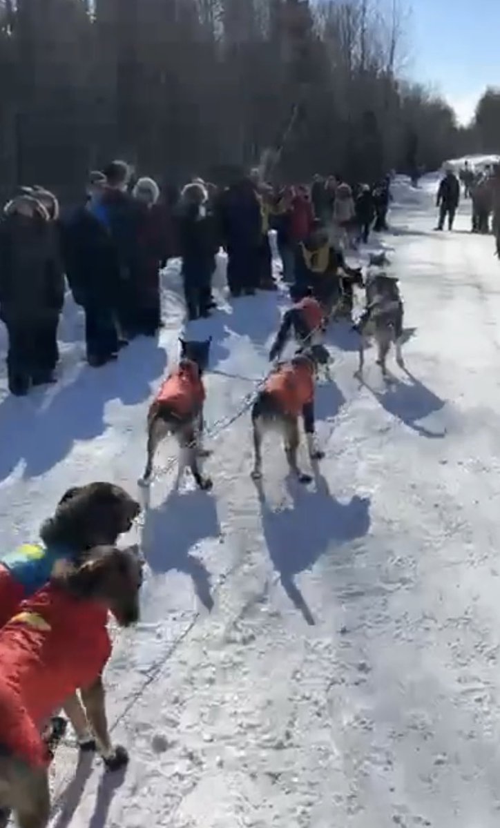 Wendy Wakeman tweet media