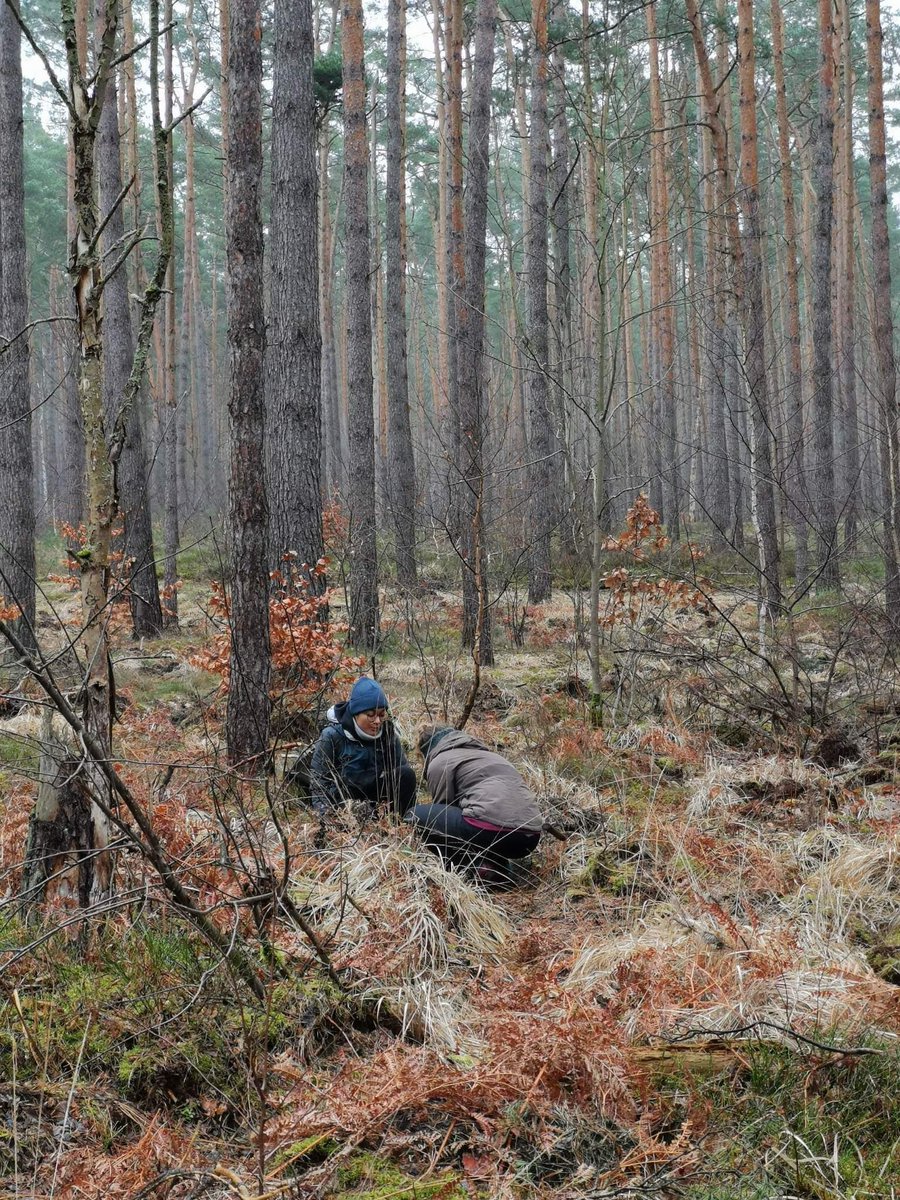 Am Samstag hieß es im strömenden Regen #aufbäumen beim 
<a href="/bergwaldprojekt/">Bergwaldprojekt</a>
 in Gorin. Nachdem wir sehr viele Eichen und Ahorn Pflanzen eingesetzt haben, heißt es nun Daumen drücken, dass die Kleinen groß und stark werden!