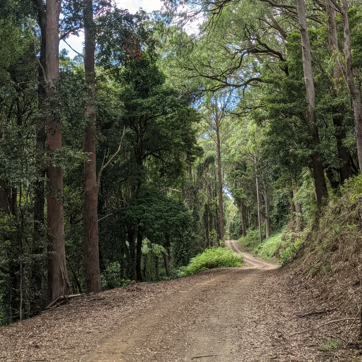 GM fam sorry for the absence I have been away camping with no reception 🍀🧙‍♂️🚀
Much love hope everyones killing Feb