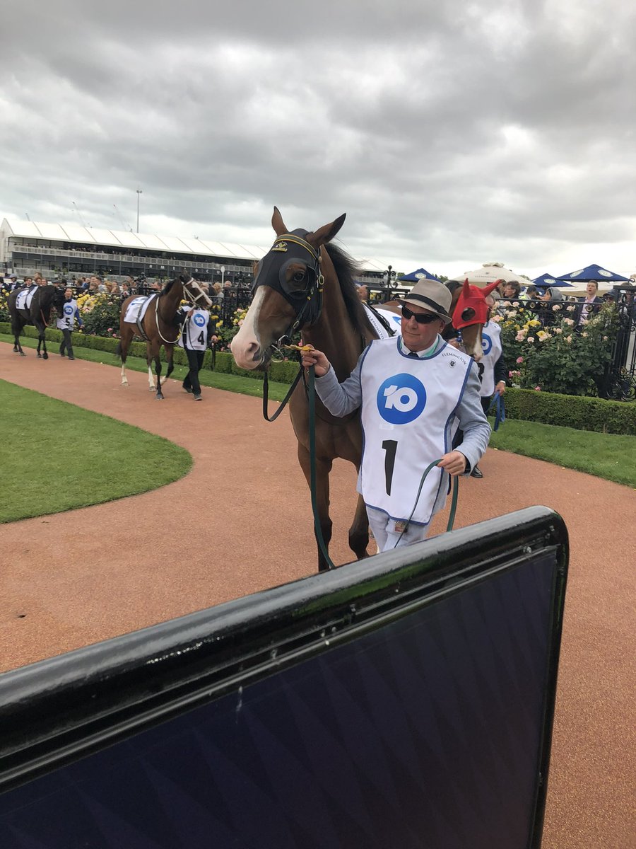 A wonderful journey comes to a close. Saturday we retired our dual Gr1 winner STREETS OF AVALON. What a ride it has been, 7 years in the stable. He retires a sound, happy horse. He’ll be looked after by long term track rider Jordan.

Thank you Streets!

Career-71-10:11:11 $2.44m