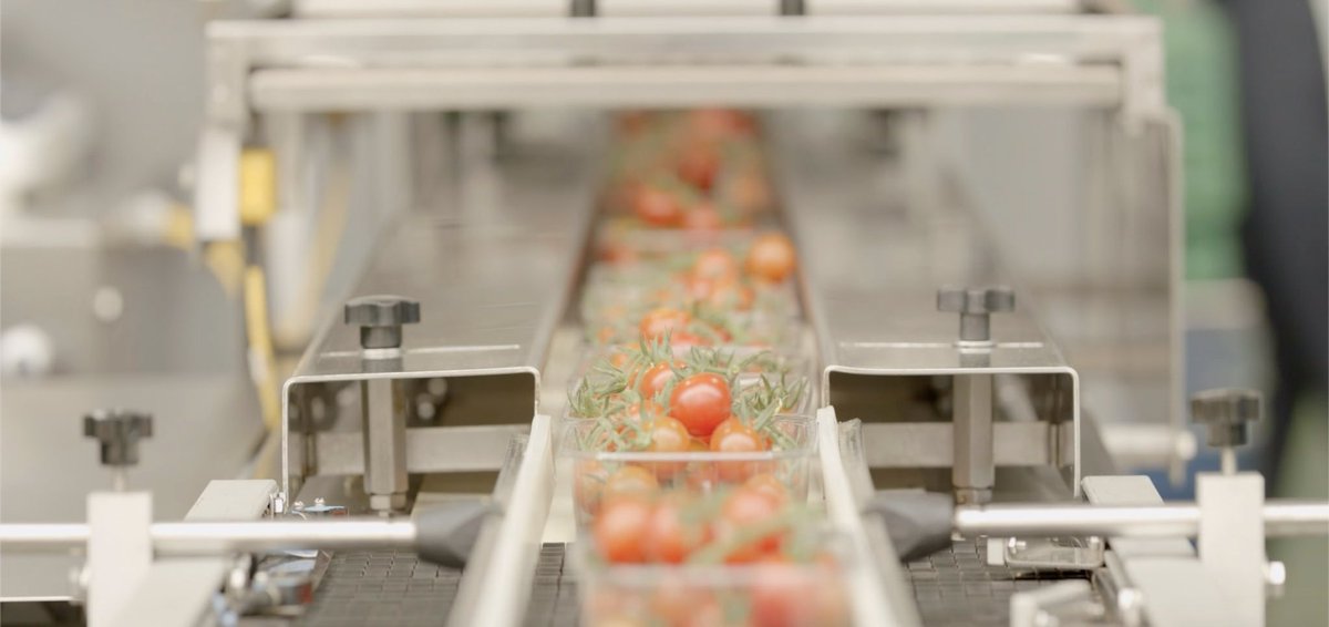 Watch: Lea Valley Growers on <a href="/SkyNews/">Sky News</a> discussing Tomato supermarket shortages 👇

youtu.be/tGmLIGOAY0k

#NFU23 #BackBritishFarming #EmptyShelves #Leavalley <a href="/NFUHerts/">NFU Hertfordshire</a>