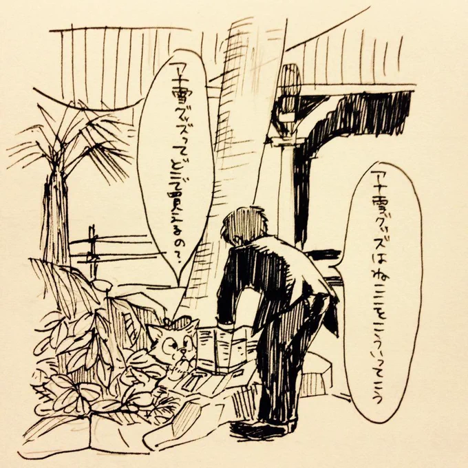 猫の日だね〜〜〜 