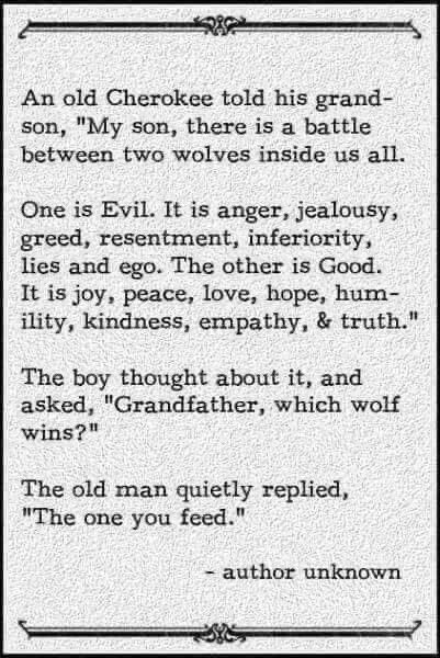 barbara_kuks's tweet photo. #CherokeeWisdom. https://t.co/FjYcM9JPKe