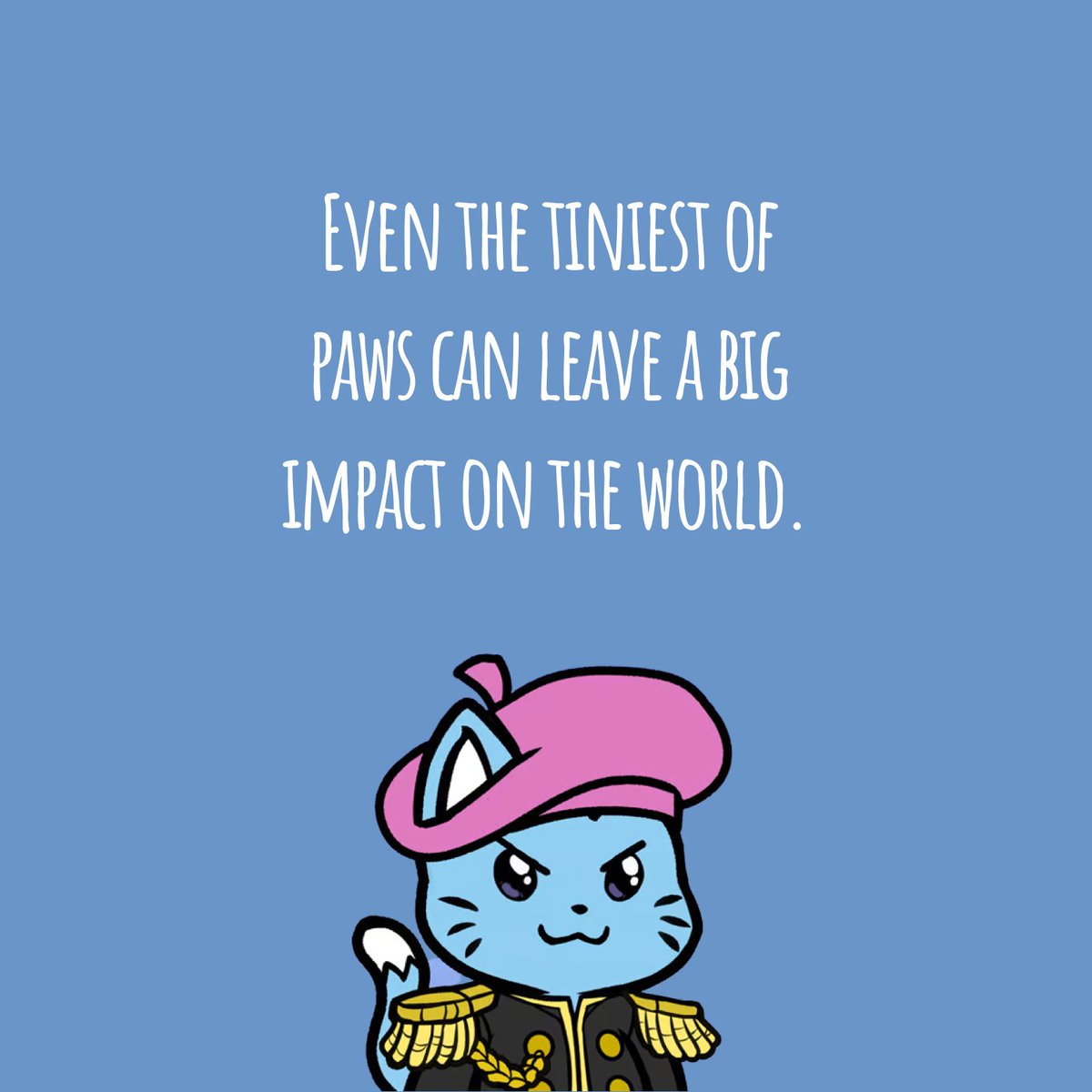 Kitten Coup Reborn 😼 tweet media