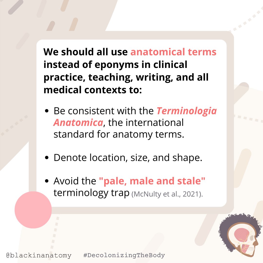 The #CerebralArterialCircle is our next #DecolonizingTheBody feature. The network of arteries along the base of the brain provides potential alternative paths for blood flow. 

The #eponym "Willis" is named for the most detailed describer, but not the first.

#BlackinAnat
