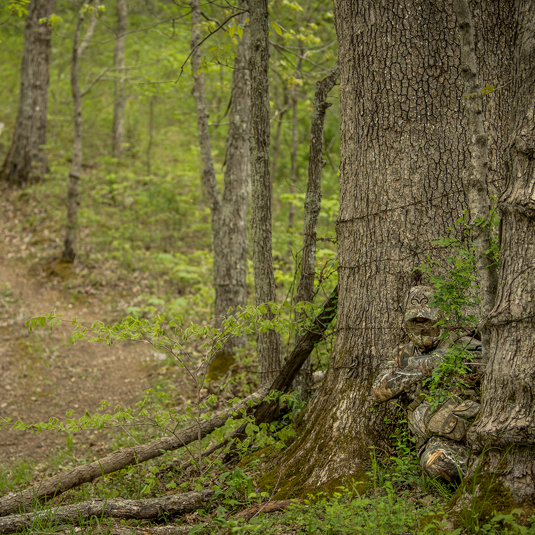 Realtree's tweet photo. Look like where you hunt.

#Realtree #RealtreeEDGE https://t.co/gyh1ppCF92