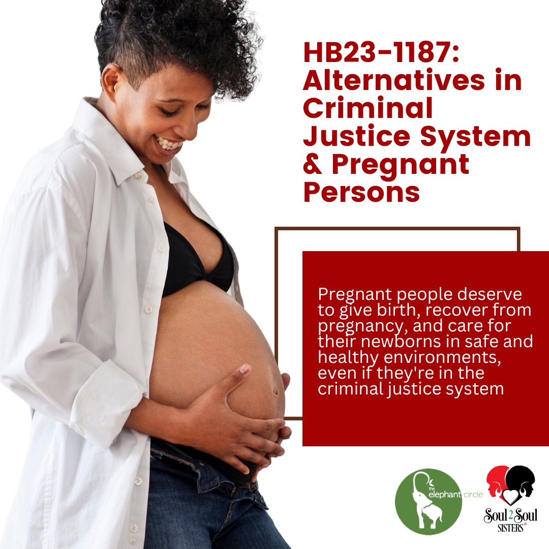 NewEraCoAF's tweet photo. Pregnancy and postpartum are complex, unique, and time-sensitive in a way that jails and prisons can't handle now. We #SupportPregnantPeople & @elephant_circle + @S2SSisters' call for alternative sentencing options! #HB1187 https://t.co/Mk9OZ5rcBA #copolitics https://t.co/BR222LVqCG