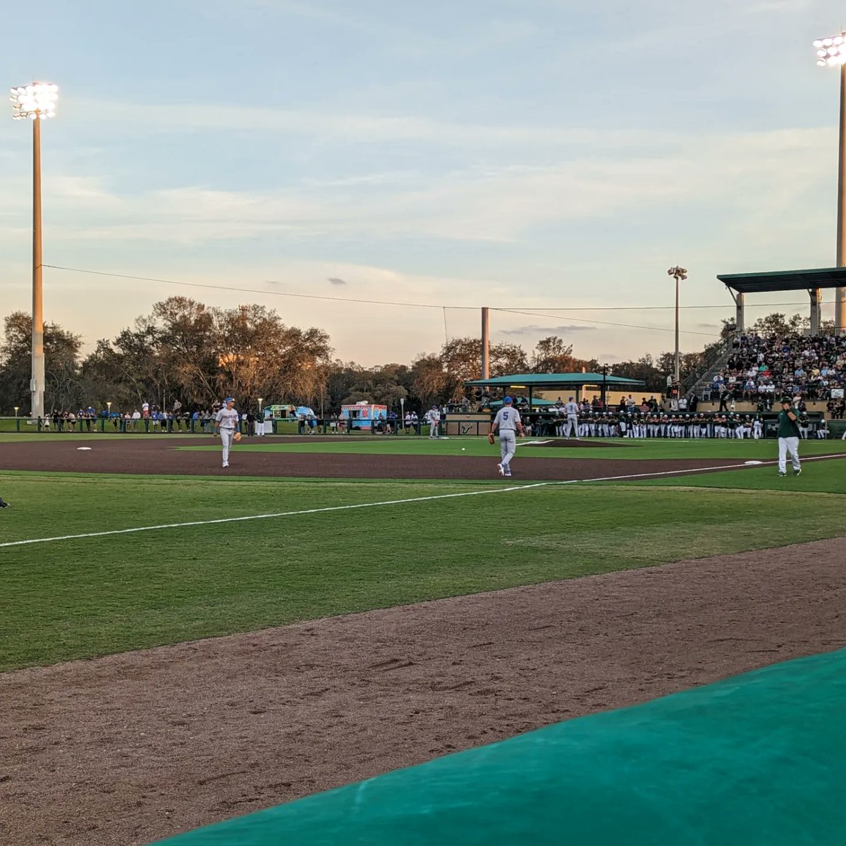 N_Ardalani's tweet photo. Beautiful night for baseball! Let's Go @GatorsBB https://t.co/syH2l8DMNP