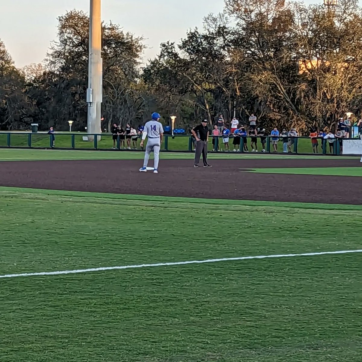 N_Ardalani's tweet photo. Beautiful night for baseball! Let's Go @GatorsBB https://t.co/syH2l8DMNP