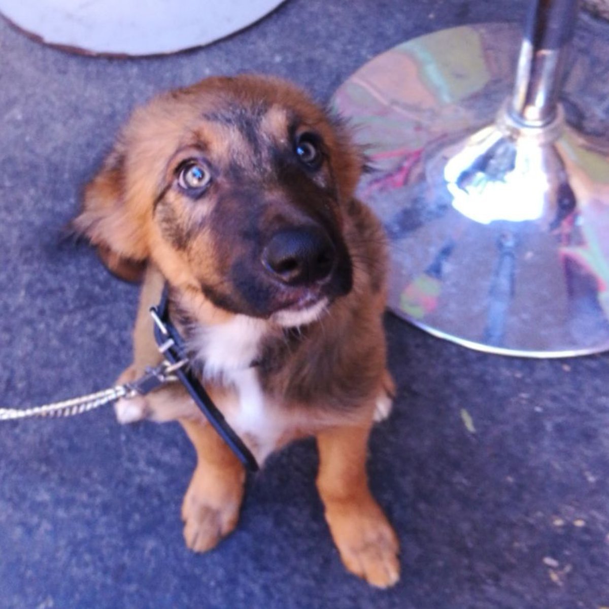 BayRoNvs tweet media