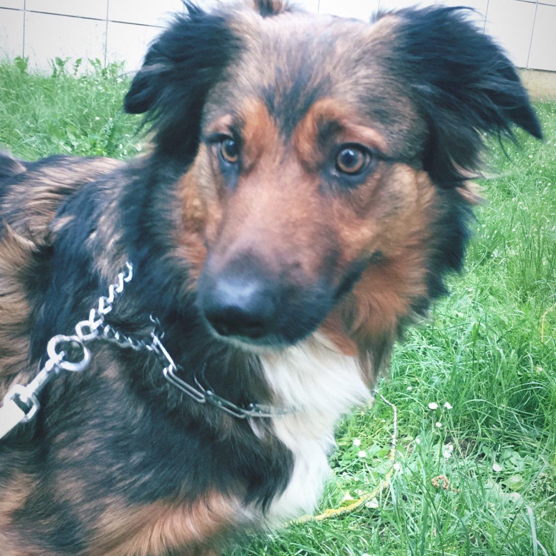 BayRoNvs tweet media