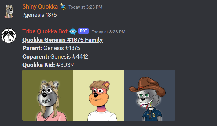 Shiny Quokka tweet media