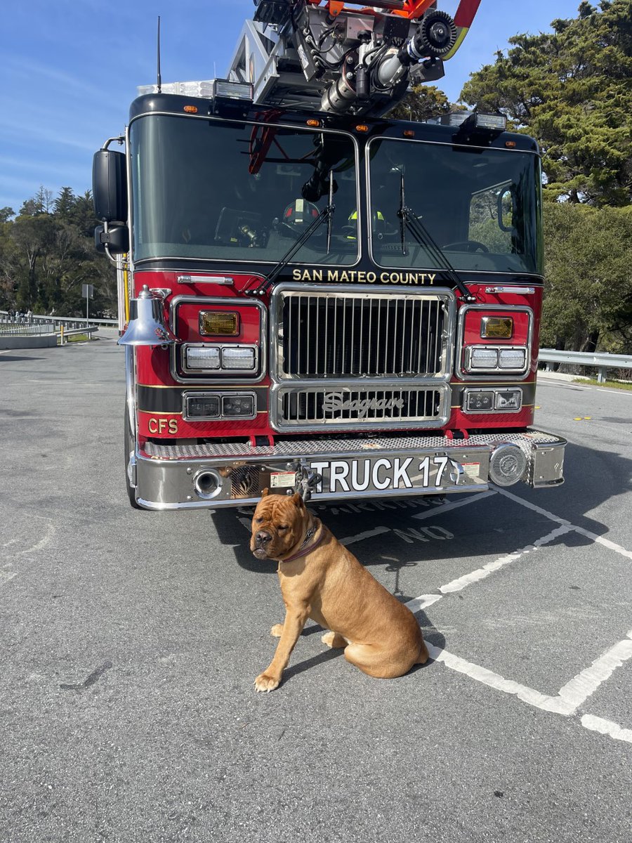 CALFIRECZU's tweet photo. What happens when the big red dog meets the big red truck? Pawsome shots! Maximillion struck a pose in front of CAL FIRE/San Mateo County Fire Truck 17. #SoHandsome #Whoseagoodboy #dogsoftwitter https://t.co/rBmRxOF0ib