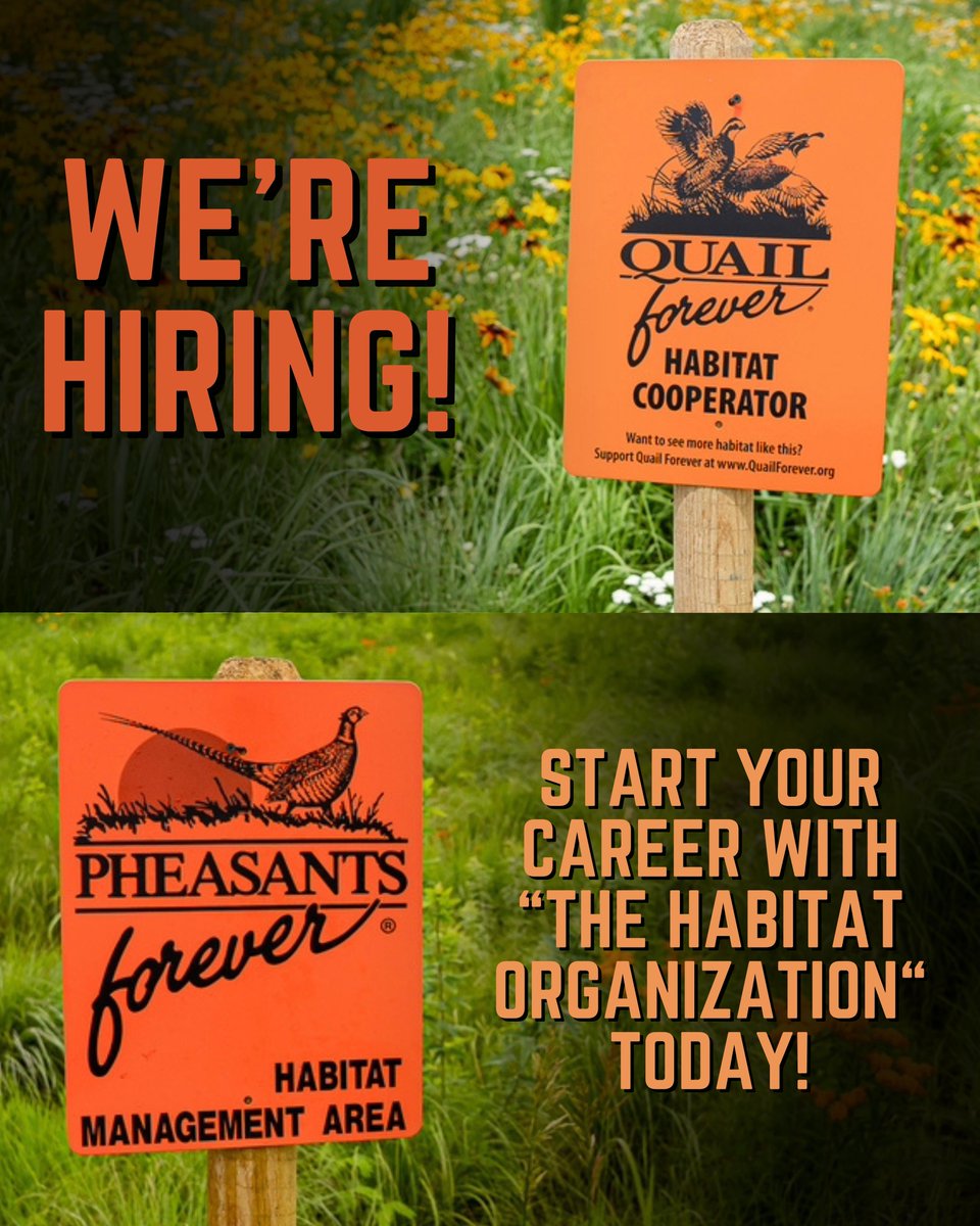 WE’RE HIRING! We've got job openings from Alabama to Montana and Minnesota to Texas. Head to the link below to start your career with “The Habitat Organization” today!

pheasantsforever.org/SpecialPages/A…