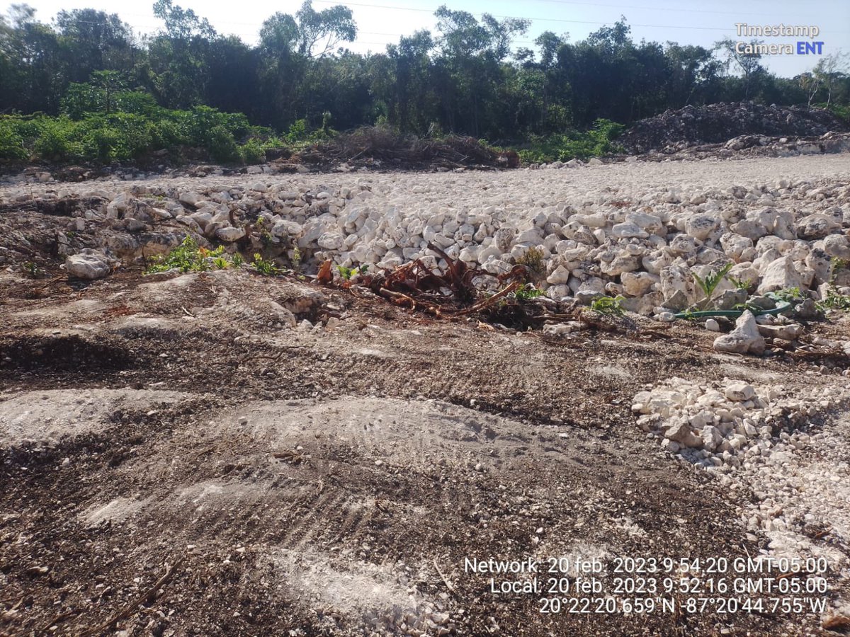 ¡ESTÁN RELLENANDO CENOTES!
Fotografías del antes y después en cenote atrás de Bahía Príncipe.
Se confirma una vez más el ecocidio #ParenLasMaquinas
<a href="/FonaturMX/">Fonatur</a> 
<a href="/TrenMayaMX/">Tren Maya</a> 
<a href="/PROFEPA_Mx/">PROFEPA</a> 
<a href="/TabascoJavier/">JAVIER MAY</a>
@SEDENAmx
<a href="/MaraLezama/">Mara Lezama</a>
<a href="/lopezobrador_/">Andrés Manuel</a> 
<a href="/SelvameMX/">SELVAME</a>
<a href="/SelvaMayaSOS/">Selva Maya SOS</a>
<a href="/soscenotes/">SOScenotes</a> l
