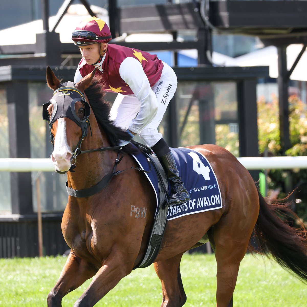 Happy retirement to 2 x Group 1 winner Streets Of Avalon ❤

The <a href="/shanenicholsrac/">Shane Nichols Racing</a> trained gelding competed in 3 #AllStarMile's, placing 3rd in last years $5 million race!