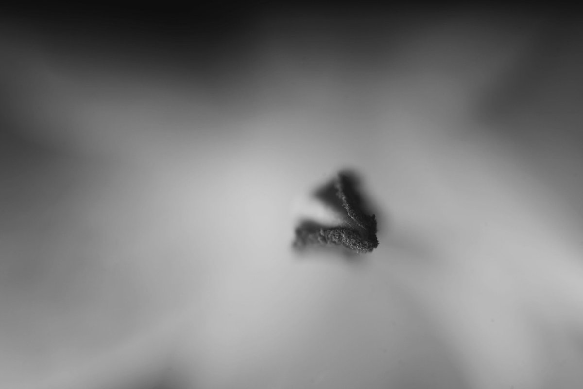 𝕯𝖎𝖏𝖎 📸 🦉| dijaraj.eth ⌐🆇-🆇 tweet media