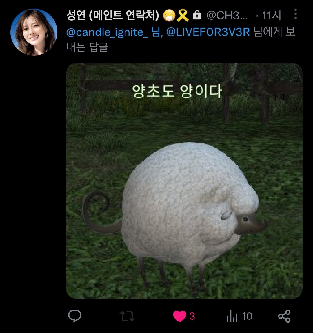 lovelybutodd's tweet photo. 양초도 양이다 https://t.co/BHjQRNlJaI