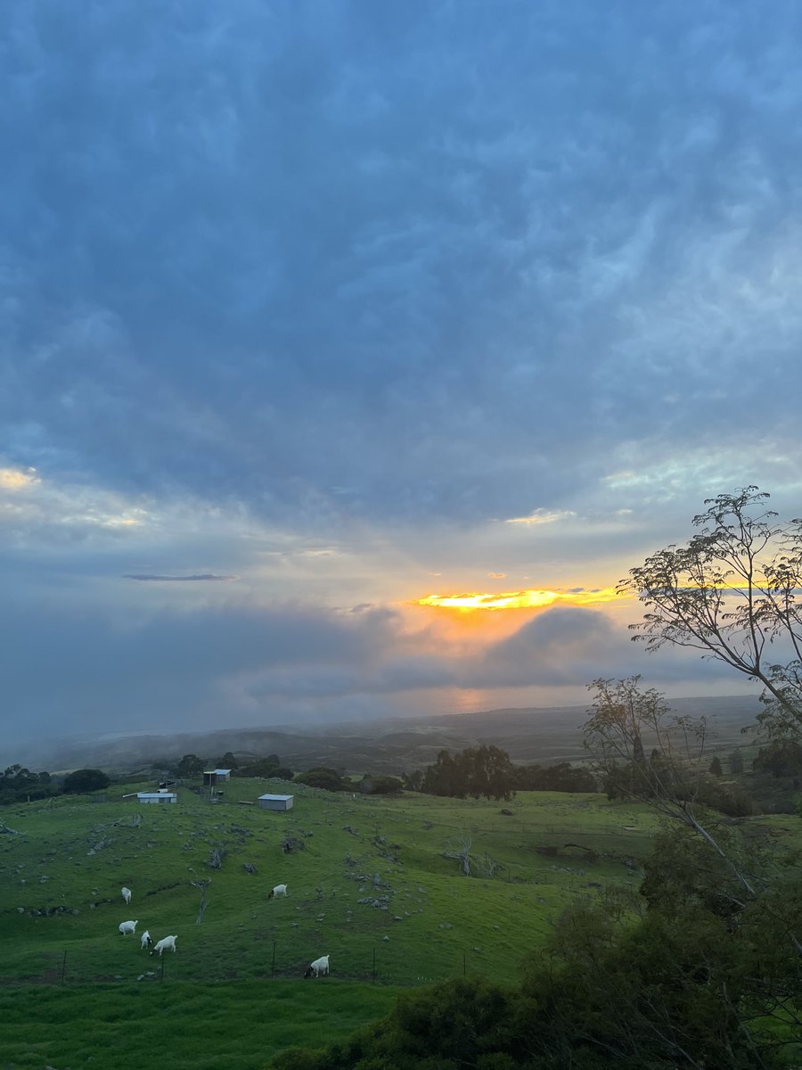 kimanncurtin's tweet photo. Tonight’s sunset 🌅 The sun always comes back after the storm …no matter how long. No matter how dark. No matter how intense. I’ll remember this -if you will. 😉 #traderinspiration https://t.co/PsN3bI7y0r