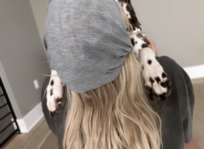 3 pic. the best hugs ???☺️ https://t.co/ttJNBmoZ4Y