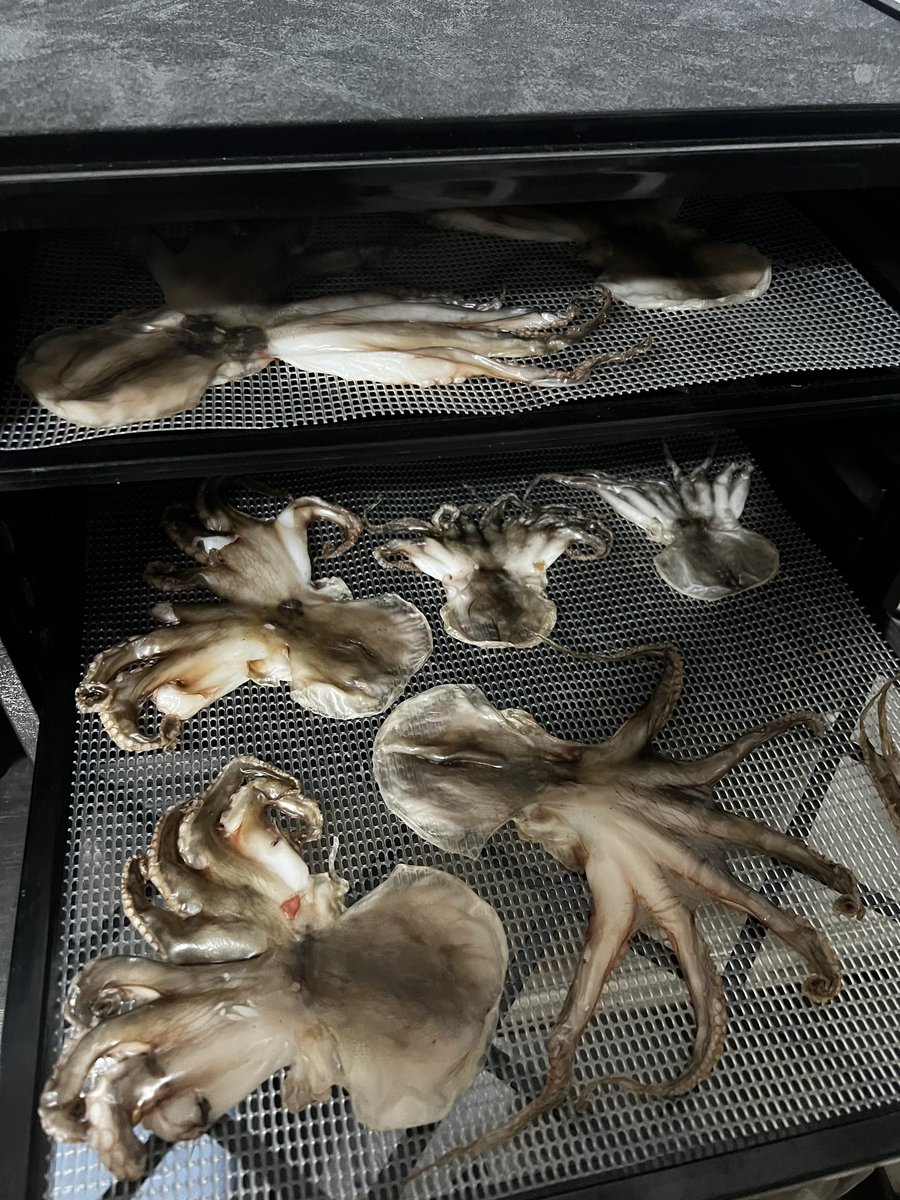 AhanKao's tweet photo. 有些雜記，這是石鮔，既既然是生的，就把他烘乾。
然後我要玩龍舌蘭
#agave #octopus https://t.co/GgcCKEQJYX