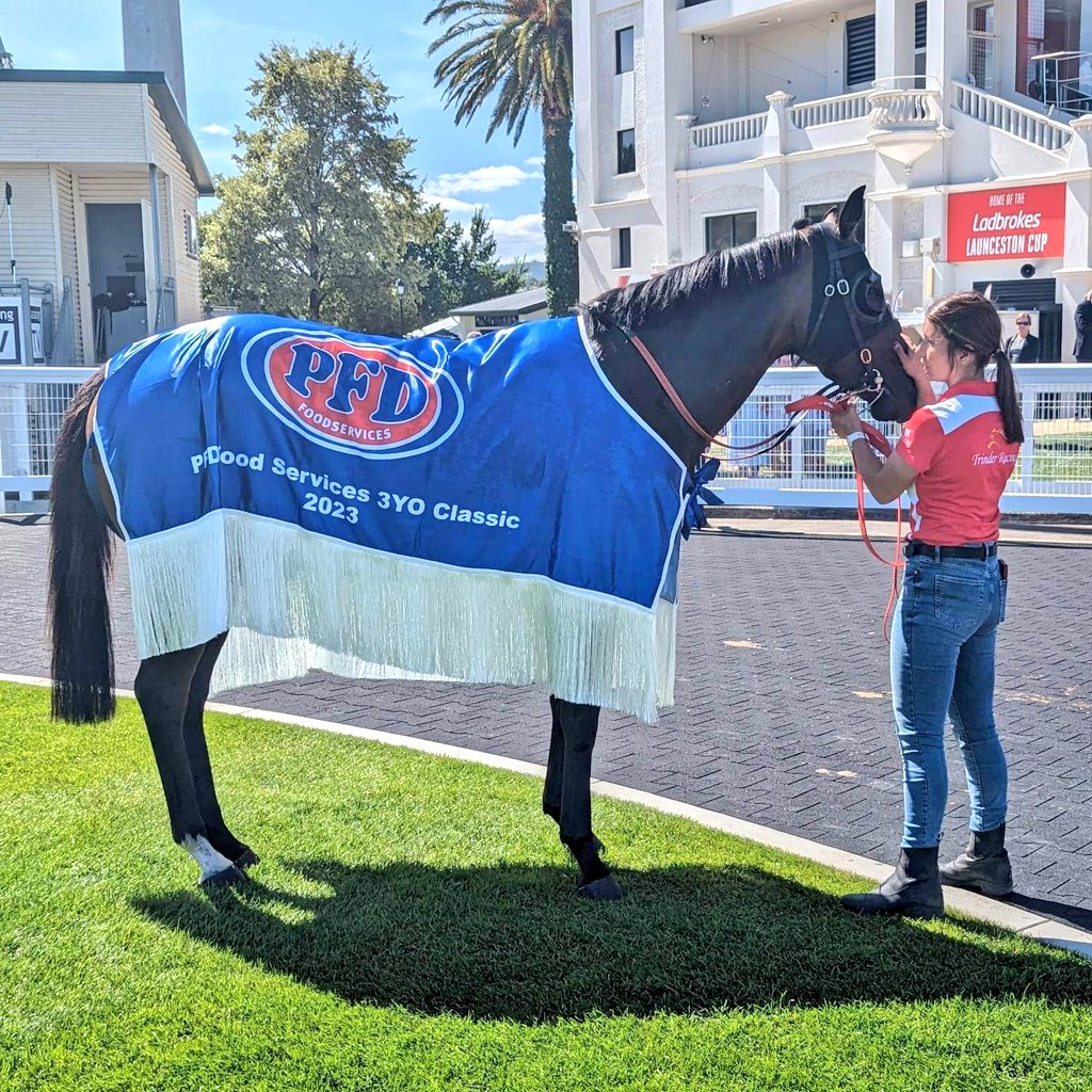 Jaguar Stone (3f Spieth x Leopard Skin) scores a much deserved win in today's $100k PFD Food Services 3yo Classic over 1200m!

Congrats to all connections with their $28k <a href="/mmsnippets/">Magic Millions</a> Gold Coast purchase and thanks to Blake Shinn for a superb winning ride! #Magnet #TrinderRacing