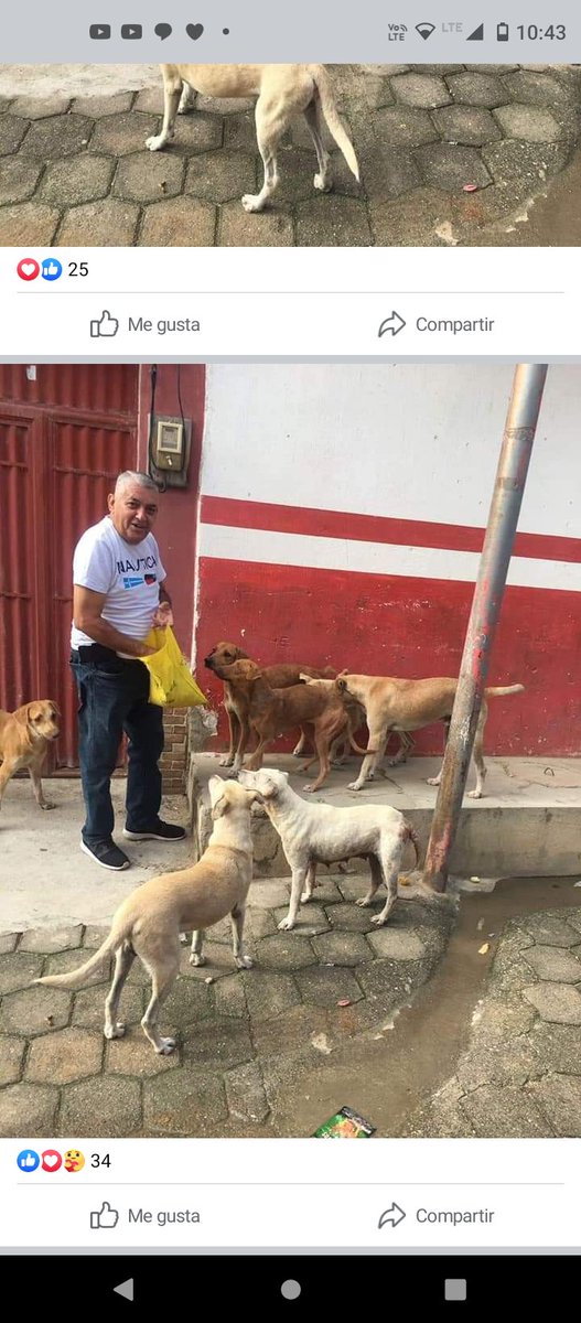 aleydaguare's tweet photo. Miren es mi vecino, maneja un bus urbano y todas las mañanas los perritos lo esperan y siguen al bus porque saben que él les trae comida, desde la parte alta de la colonia empiezan a salir para recibir sus croquetas que para muchos de esos perritos es su única comida del día https://t.co/iRjXMcOujl