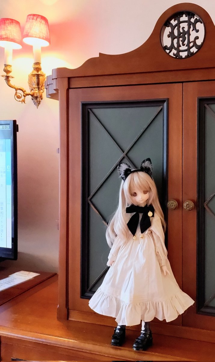 maia1126's tweet photo. ねこのひ     #DCH26    #DCH19 https://t.co/pe7tCHKGiZ