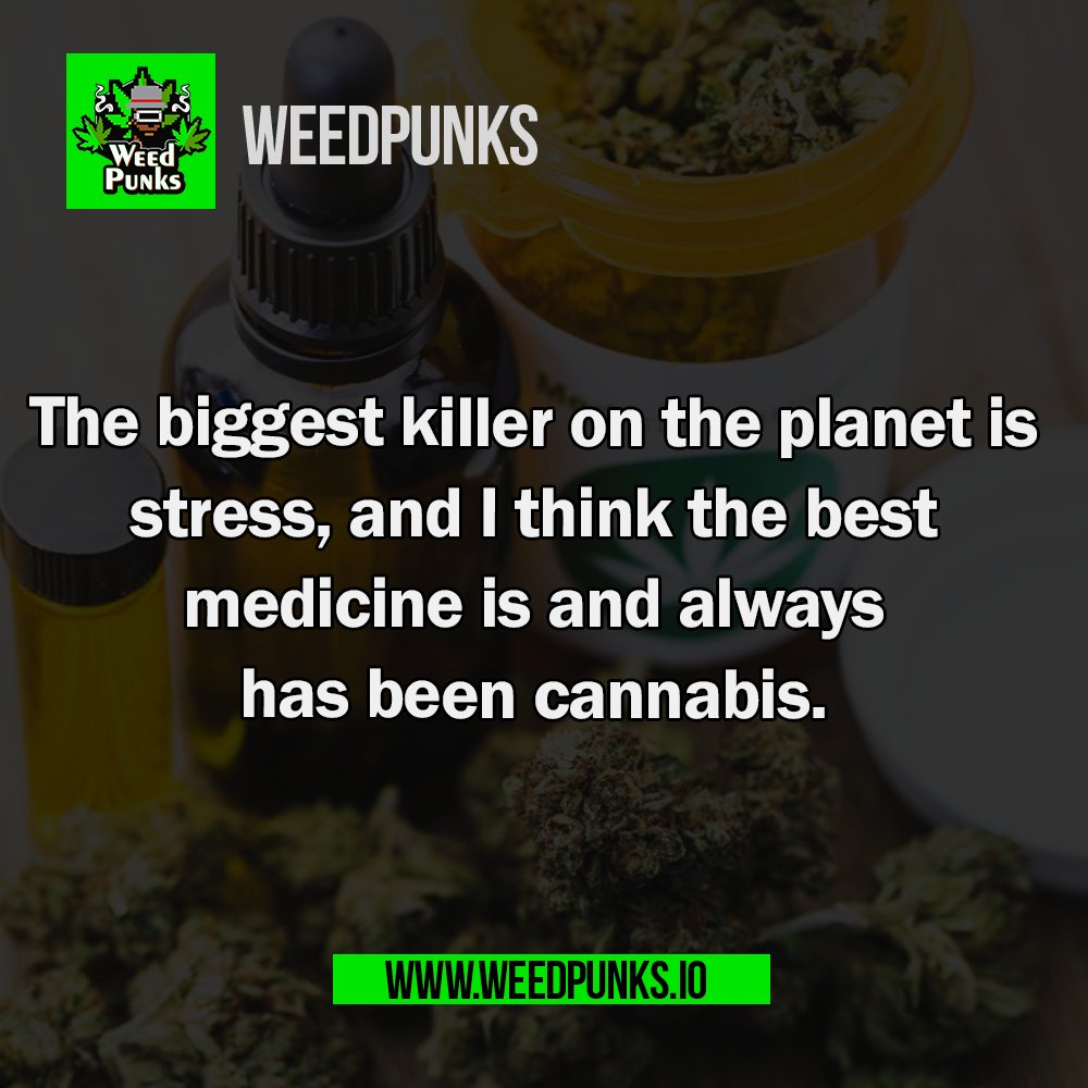 Weedpunks tweet media
