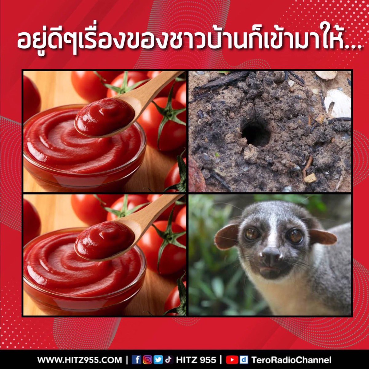 📌FB | IG | TW | TT: @HITZ955
📹YouTube: bit.ly/2YoL829
#HITZ955 #HITZ9HaHa