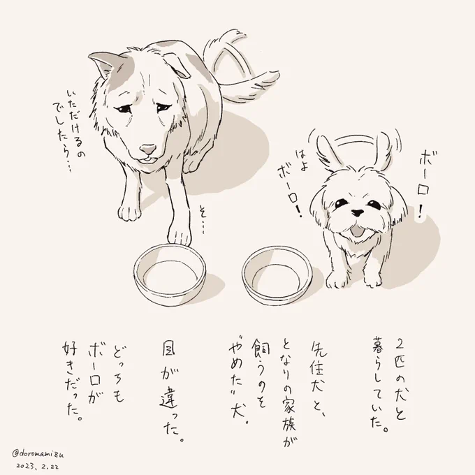 猫の日だそうですが、犬の夢を見たので犬の思い出を描きました。 