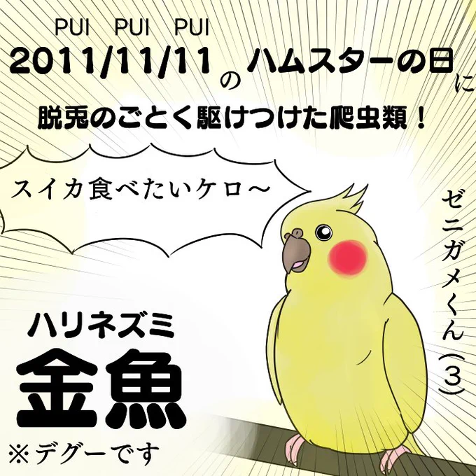 #猫の日
そういえば今日は鼠の日でしたか…では去年のスーパー馬の日とやらに描いた蛙の絵でも再掲しておきますか… 