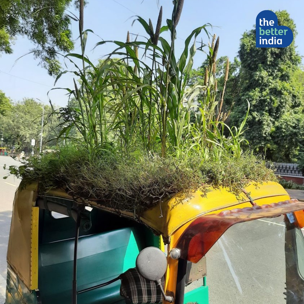 thebetterindia's tweet image. Millets and maize are being grown on the roof of this #greenauto. 

Mahendra says it will remain, so now, it gives him relief and happiness too!

PC: Ajay Yadav
facebook.com/ajayadava