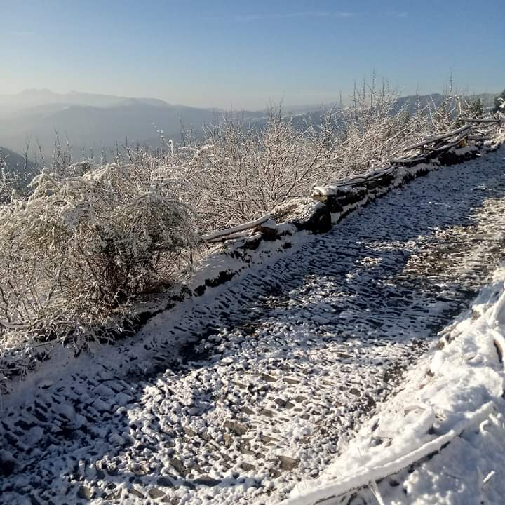 shubhamtorres09's tweet photo. Fresh #Snowfall in #Khadrala overnight ❄️❄️🏔️🏔️
22nd February 2023
#Shimla , #HimachalPradesh https://t.co/t7j2eI5NnM