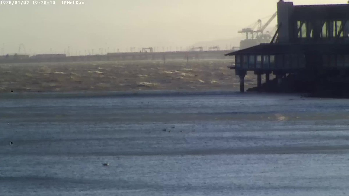 #windywindy... > 15kt <a href="/calsailing/">Cal Sailing Club ⛵️</a>! more at whatskraken.cal-sailing.org/wind